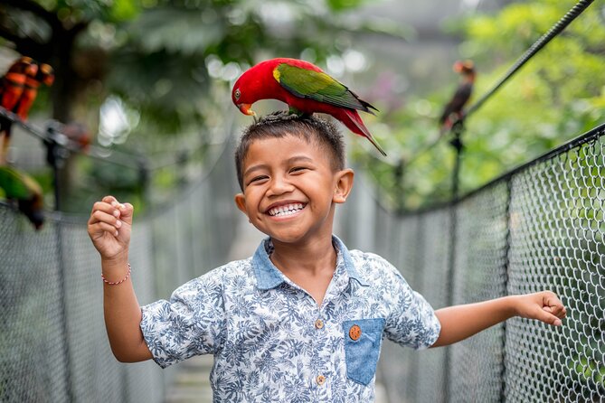 Bali Bird Park Admission Ticket - Planning Your 3 Hours: How to Time Shows and Feedings