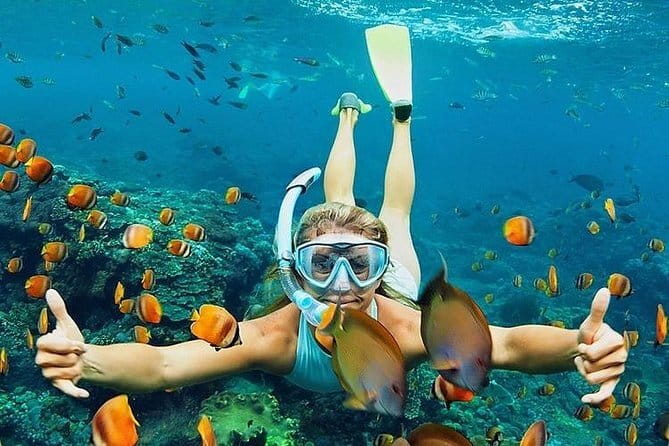 Bali : Blue Lagoon Snorkeling combine with Bali Swing in Ubud - Price and Value: Why $70 Can Make Sense for This Combo