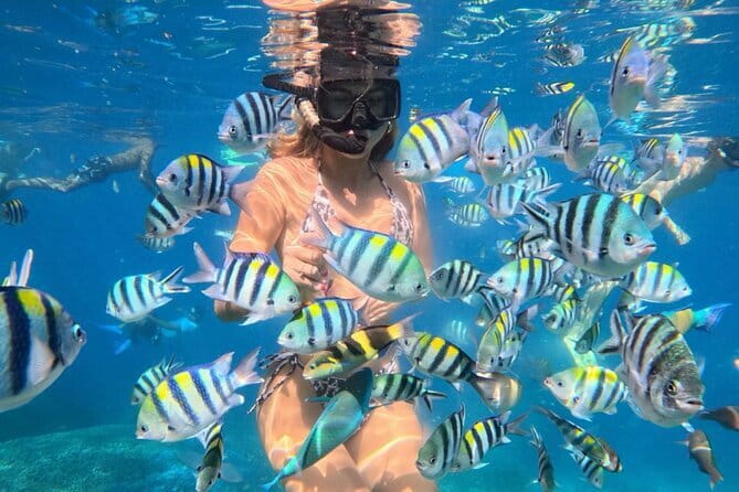 Bali : Blue Lagoon Snorkeling combine with Bali Swing in Ubud - Guide Quality: Made (Mardee) Is the Name You’ll Hear