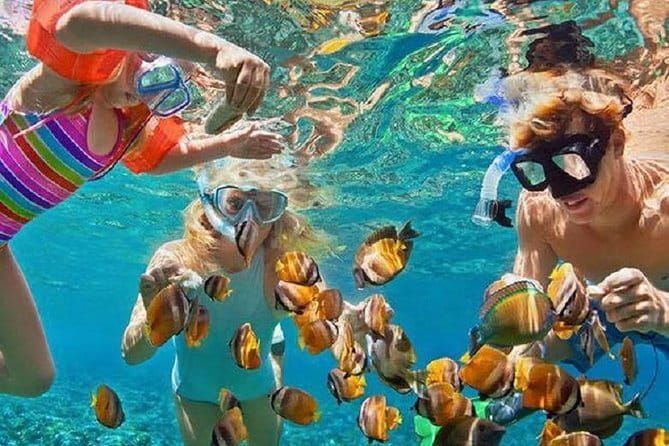 Bali : Blue Lagoon Snorkeling combine with Bali Swing in Ubud - Who This Tour Fits Best (And Who Might Want a Different Plan)