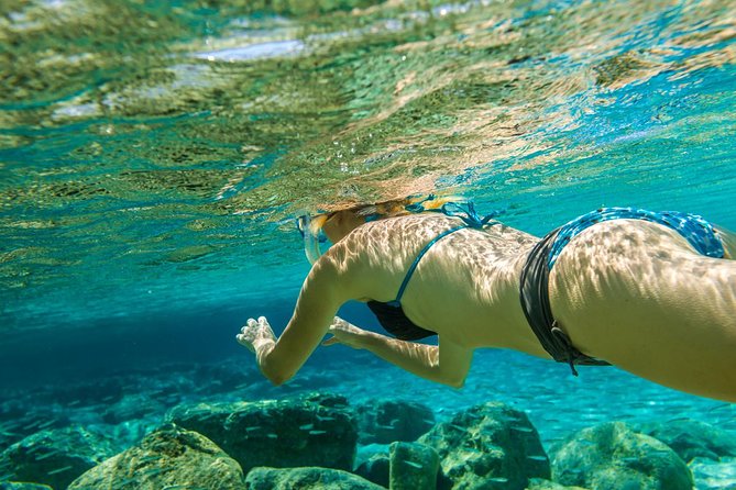 Bali Blue Lagoon Snorkeling Experience - Marine Life You Can Watch For: What To Look at Once You’re in