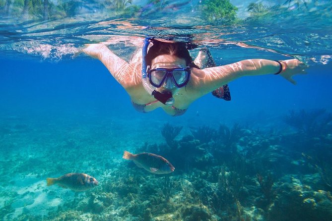 Bali Blue Lagoon Snorkeling Experience - Tips for Your Blue Lagoon Day: Make It Easier From the Start