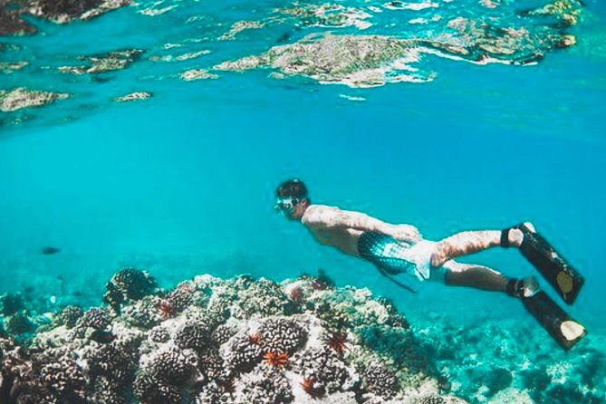 Bali Blue Lagoon Snorkeling - Lunch and Transport All Inclusive - Blue Lagoon and Tanjung Jepun Snorkeling With Your Own Instructor