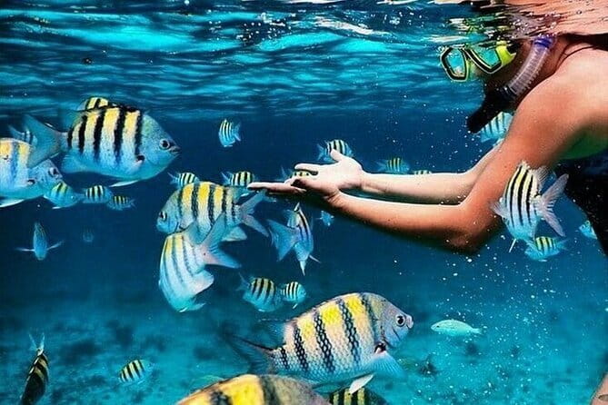 Bali Blue Lagoon Snorkeling with Waterfalls Tour - all included - Key highlights you’ll actually feel on the day