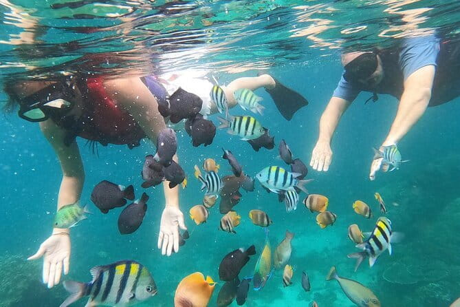Bali Blue Lagoon Snorkeling with Waterfalls Tour - all included - Tour pacing: how to decide if this day trip fits you
