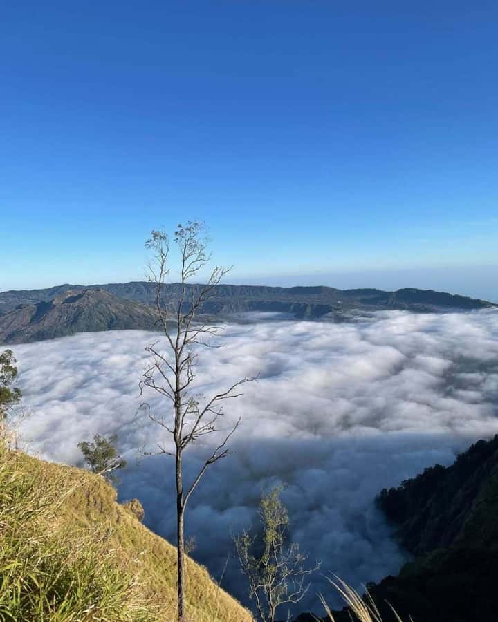 Bali: Caldera Sunrise Trek and Natural Hot Spring - Coffee plantation stop: tasting after the hike