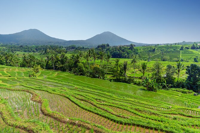 Bali Charm: Full-Day Bedugul and Tanah Lot Tour (UNESCO) - All Inclusive Tickets - Stop 2: Ulun Danu Bratan Temple by Lake Beratan
