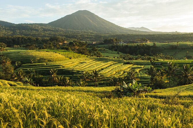 Bali Charm: Full-Day Bedugul and Tanah Lot Tour (UNESCO) - All Inclusive Tickets - Stop 3: Jatiluwih Green Land and the UNESCO rice-terrace payoff