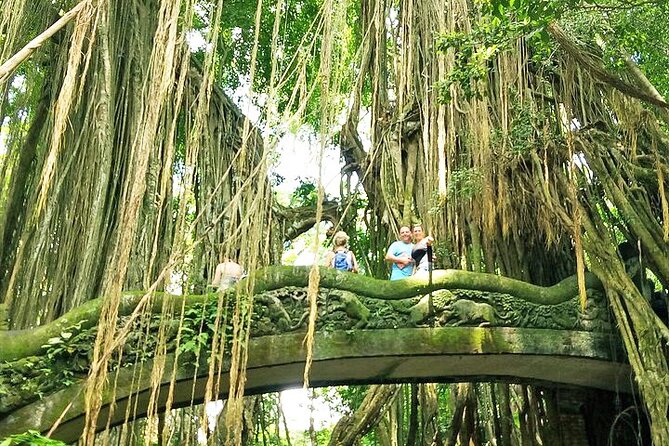 Bali Cooking Class and Ubud Sightseeing Tour - Price and Value: Is $46.80 a Good Deal?