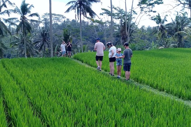 Bali Countryside Cycling Adventure - Key things that make this Bali bike day work