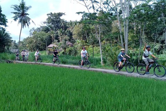 Bali Countryside Cycling Adventure - Starting the ride in green countryside: your first bikes and the safety setup