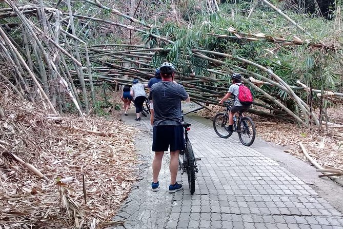 Bali Countryside Cycling Adventure - Bangli and the temple-and-lake beat at Taman Bali