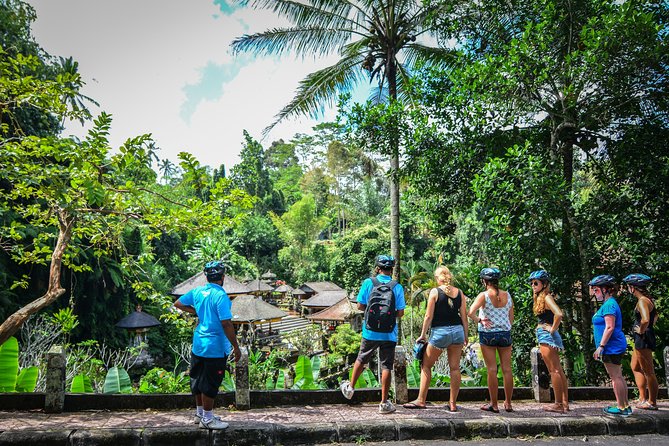 Bali Countryside Cycling Tours - Stop 3: Tegalalang Rice Terrace and Balinese farming in action