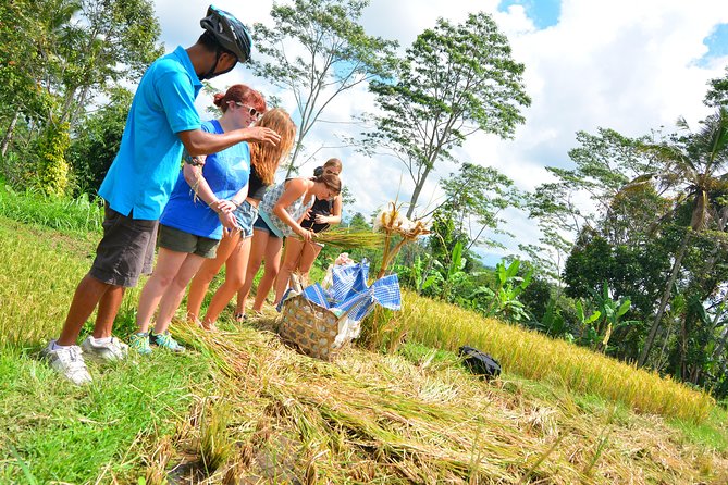Bali Countryside Cycling Tours - The ride itself: mostly downhill, with real countryside road conditions