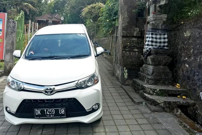 Bali Custom Car Charter - Your driver matters: Hendra Francophone energy and on-the-road help