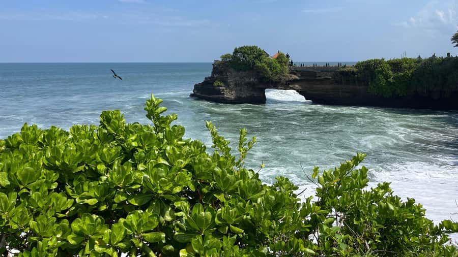 Bali: Customise your Bali Tour with Driver-Guide - How the 10-hour private car changes your Bali day