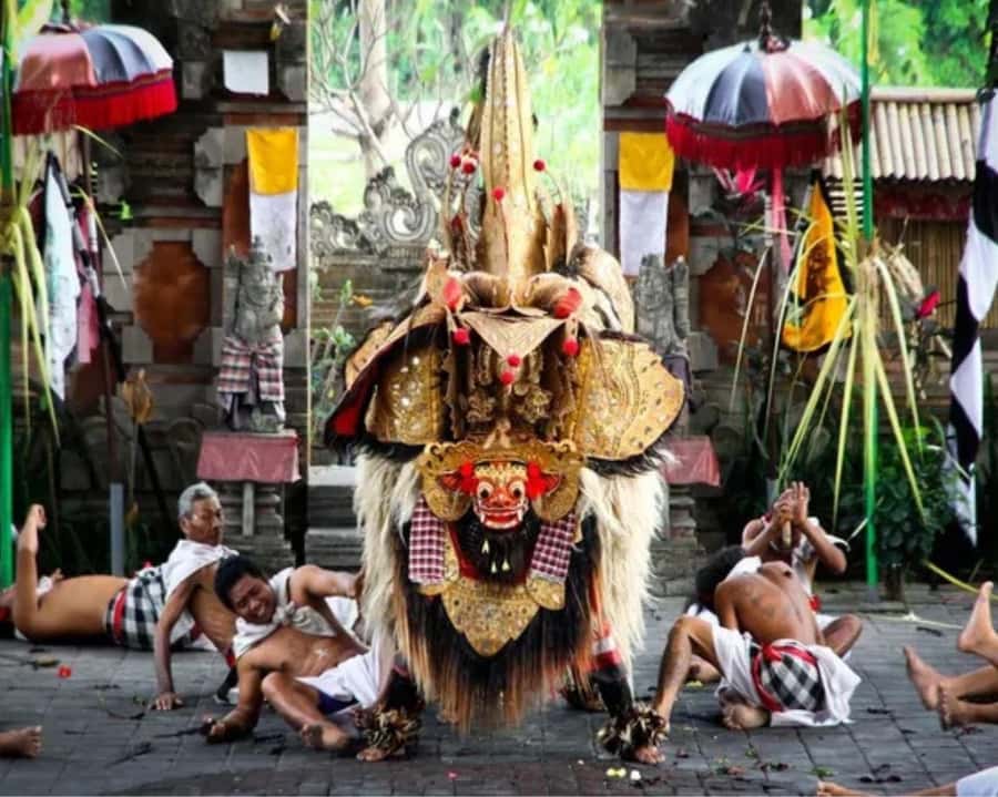 Bali: Customised Ubud Tour with Profesional Tour Guide - Ubud Monkey Forest (Ubud Sanctuary): temple vibes plus wildlife rules