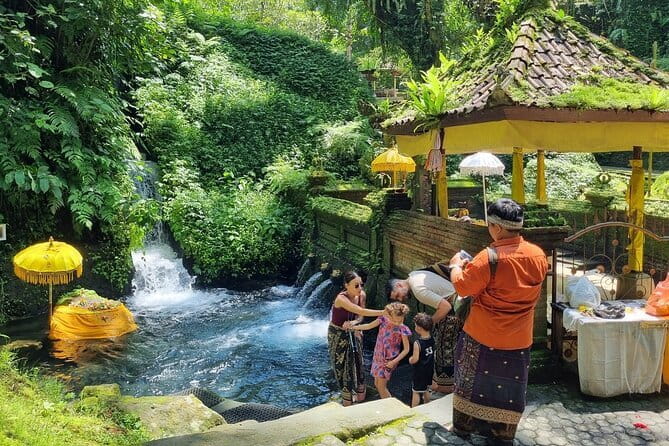 Bali Customizable Multi Language Tour with Driver-Guide - Quick take: what makes this Bali tour worth your time