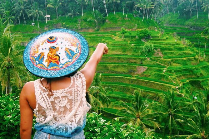 Bali Customizable Multi Language Tour with Driver-Guide - Pickup, mobile ticket, and how the day starts clean