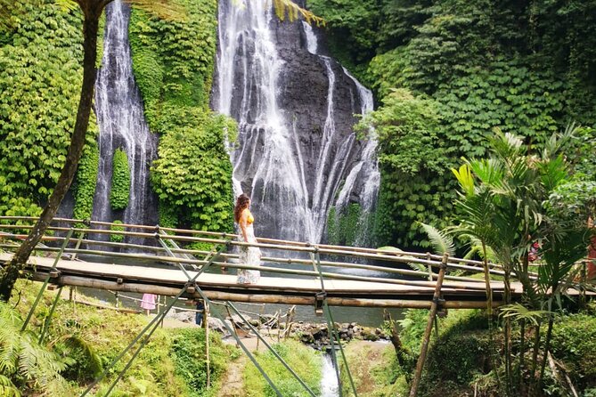 Bali-Customized Private Day Tour - Pickup, Comfort, and the Kind of Logistics You’ll Appreciate