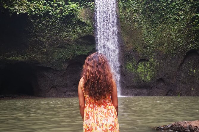 Bali-Customized Private Day Tour - Price and Value: Why $41 Can Make Sense (or not)