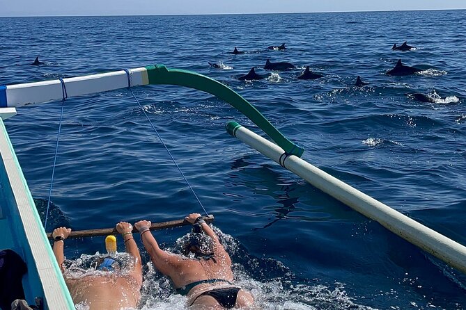 Bali : Dolphin Sunrise Experience Tour Private All Inclusive - Key highlights that make this tour worth your attention