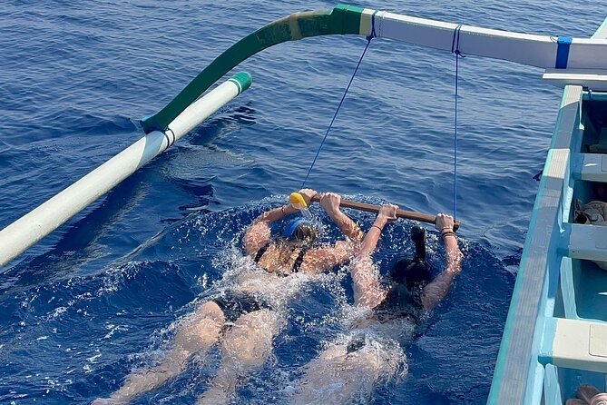 Bali : Dolphin Sunrise Experience Tour Private All Inclusive - Why this North Bali dolphin day starts at 4:30am