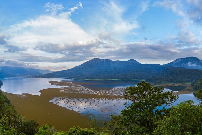 Bali : Dolphin Sunrise Experience Tour Private All Inclusive - The Luwus coffee plantation add-on: only if you want something slower