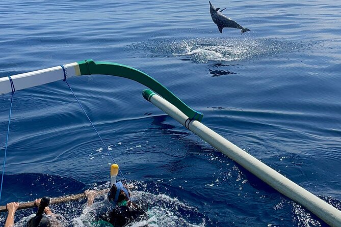Bali : Dolphin Sunrise Experience Tour Private All Inclusive - Price and value: $33 for a full North Bali day