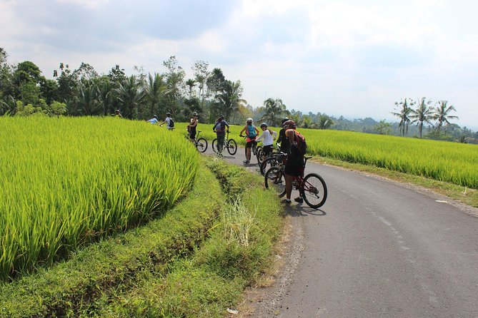 Bali Downhill Cycling and White Water Rafting - Price and value: what $100 gets you (and why it’s not just the bike or the raft)