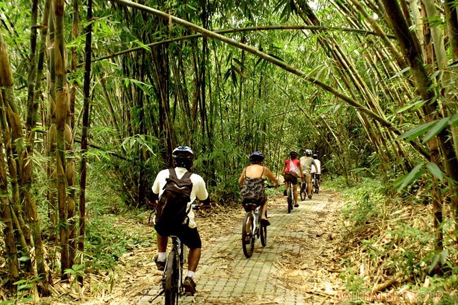 Bali Downhill Cycling and White Water Rafting - Who should book this Bali adventure and who should skip it