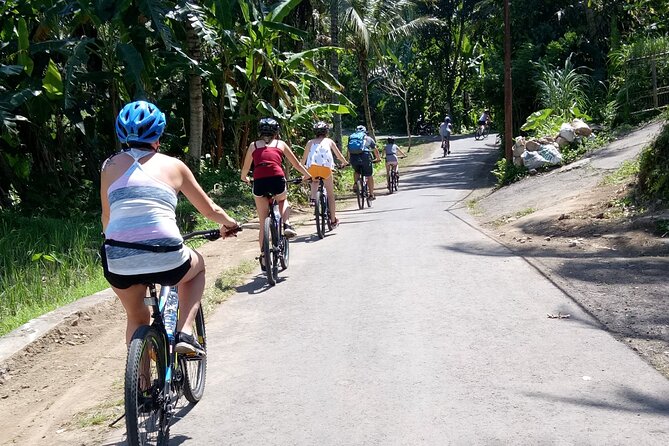 Bali Downhill Natural Cycling Tour & visit Volcano - Rice paddies, a short field walk, and the chance to see harvesting