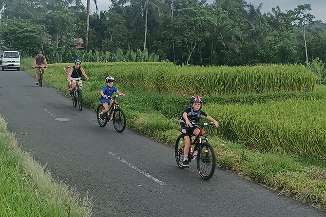 Bali Downhill Natural Cycling Tour & visit Volcano - Lunch at Banjar Laplapan: Balinese food plus dessert choices