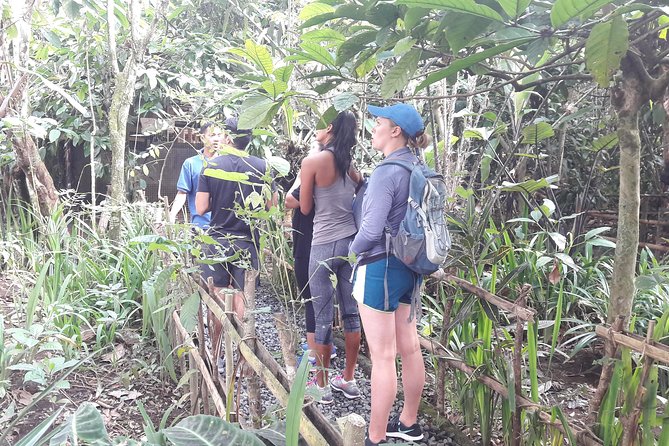 Bali Eco & Educational Cycling Tour - Downhill Cycling on Secret Back Roads Through Villages and Rice Paddies