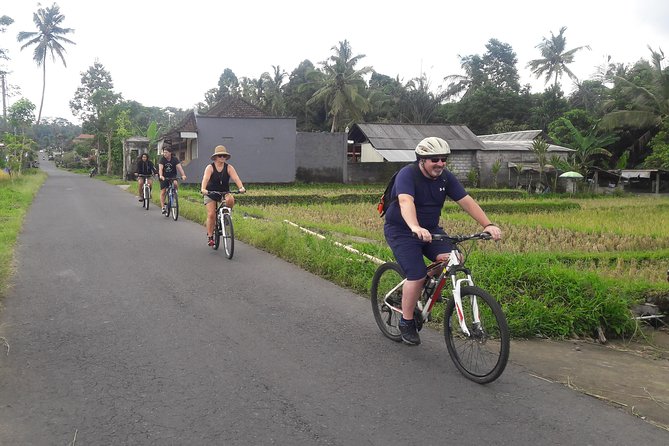 Bali Eco & Educational Cycling Tour - Pace, Timing, and What to Expect From an 8–10 Hour Day