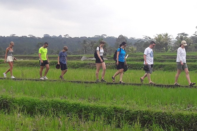 Bali Eco & Educational Cycling Tour - Price and Value: Is $48.87 Good for This Kind of Tour?