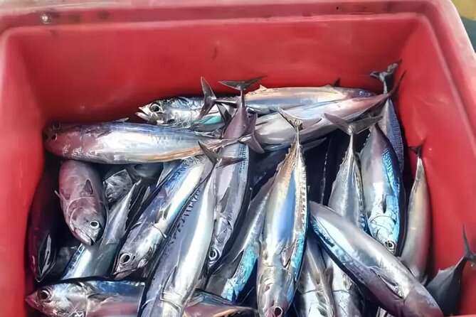 Bali: Fishing Charter Private Boat - East Bali pick-up that turns Ubud into part of the adventure
