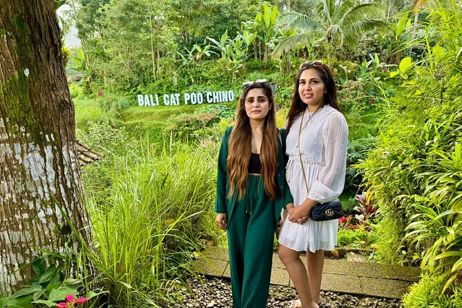 Bali Full Day Customized Private Tour - What makes this tour work: the driver experience