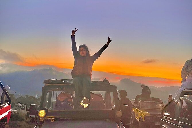Bali Full Day Customized Private Tour - Should you book this Bali Full Day Customized Private Tour?