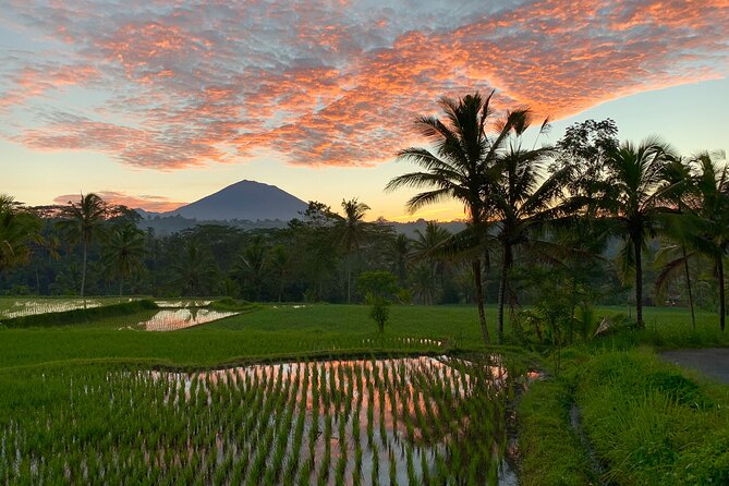 Bali Full Day Photography Tour - Lunch at Balinese home style: more than a break