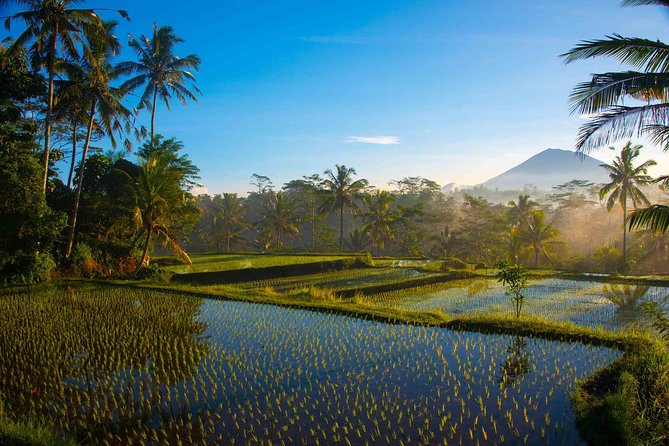 Bali Full Day Photography Tour - Tirta Empul purification: photographing ritual with care