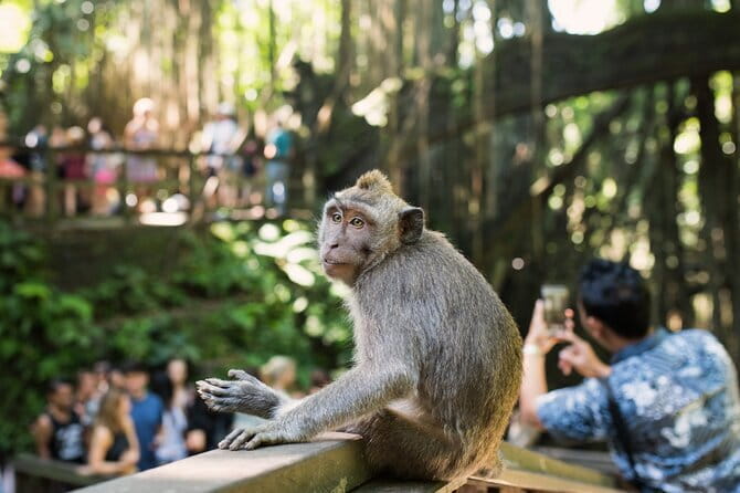 Bali Full-Day The Gate of Heaven Tour by VW Safari Classic Car - Extra “pass-by” sights: salt mining, temples, and palace stops