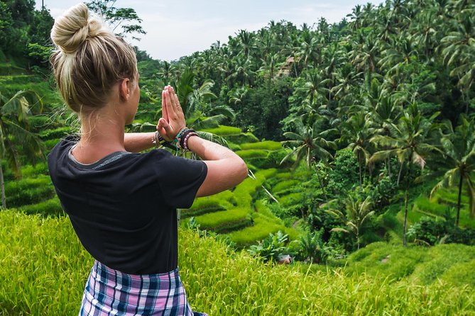 Bali Full Day Tour: Highlights of Ubud and Hidden Waterfall - A Ubud Day That Mixes Big Names With Real Calm