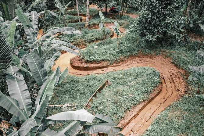 Bali: Gorilla Face ATV Bali Ubud Adventure with Lunch - Who this Bali ATV tour fits (and who should rethink it)