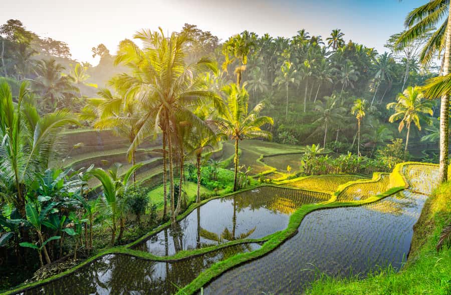 Bali: Griya Taman Beji Waterfall with Optional Ubud Tours - Elephant Cave (Goa Gajah): ancient-feeling stone and spiritual atmosphere