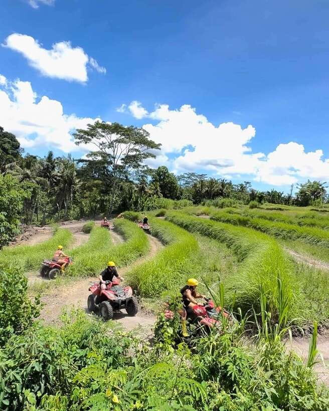 Bali: Guided Quad Bike Ride with Waterfall and Swing Options - FAQ