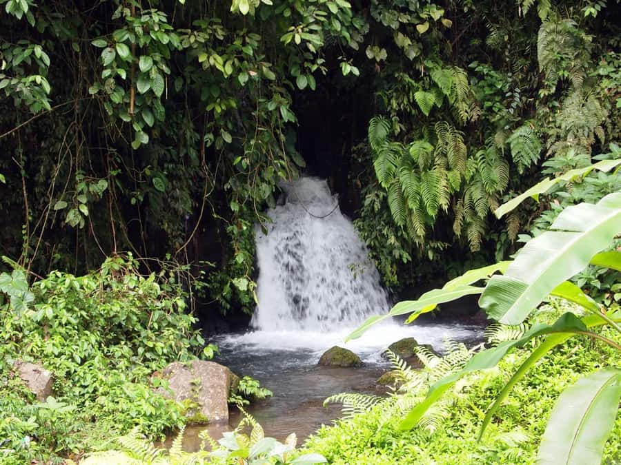 Bali: Gunung Kawi Temple & Pakerisan UNESCO Guided Tour - Price and Value: Why This $18 Tour Can Make Sense