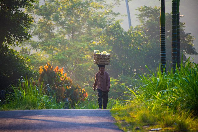 Bali Half Day Photography Tour - Traditional Market Portraits: More Than a Photo Stop