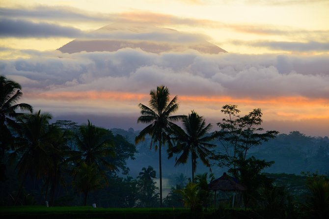 Bali Half Day Photography Tour - Tirta Empul Temple: Sunrise Energy Meets Ceremony Reality