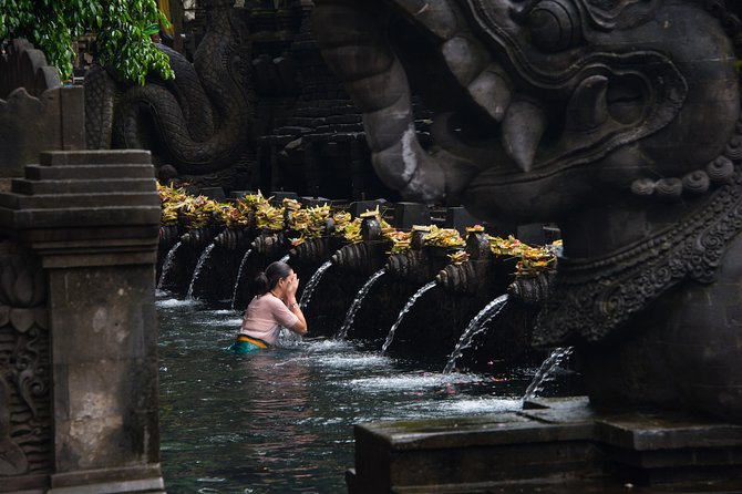 Bali Half Day Photography Tour - Morning Start: Rice Fields + Mt. Agung Sunrise Photos
